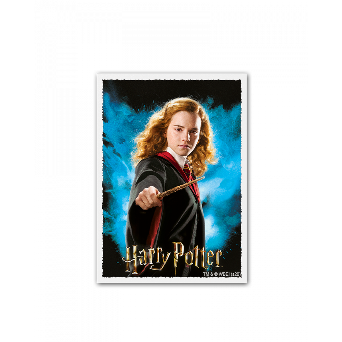 Dragon Shield Sleeves - Box 100 - MATTE Art - WizardingWorld Hermoine Granger