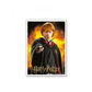 Sleeves - Dragon Shield - Box 100 - MATTE Art - WizardingWorld Ron Weasley